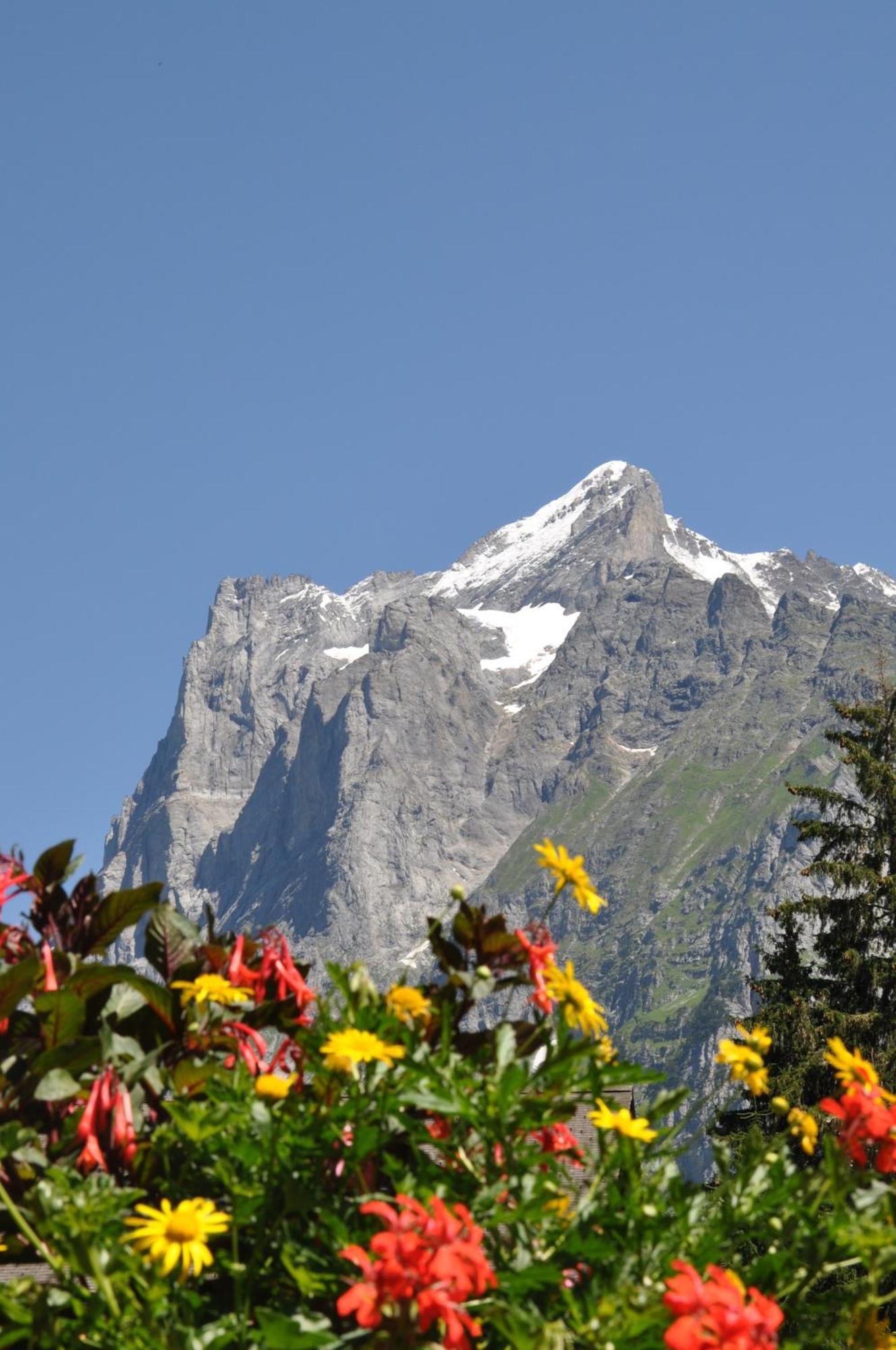 Hotel Gletschergarten Grindelwald Exterior foto